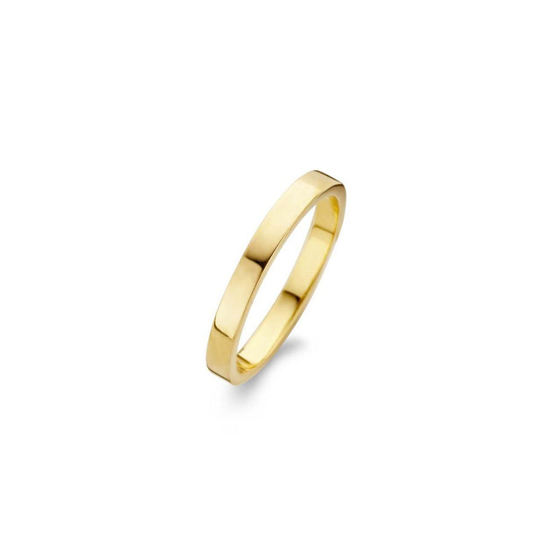 Raw polished ring - sterlingsølv forgyldt fra Spirit Icons